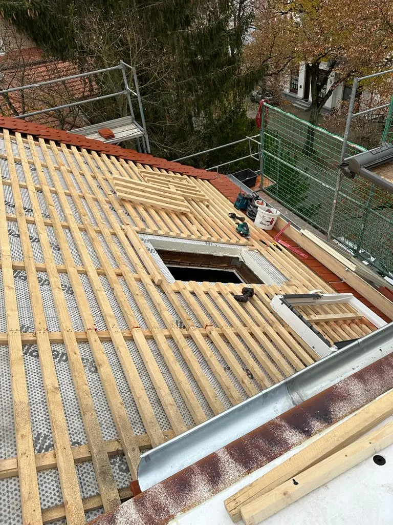 Dachwartung und Reparatur