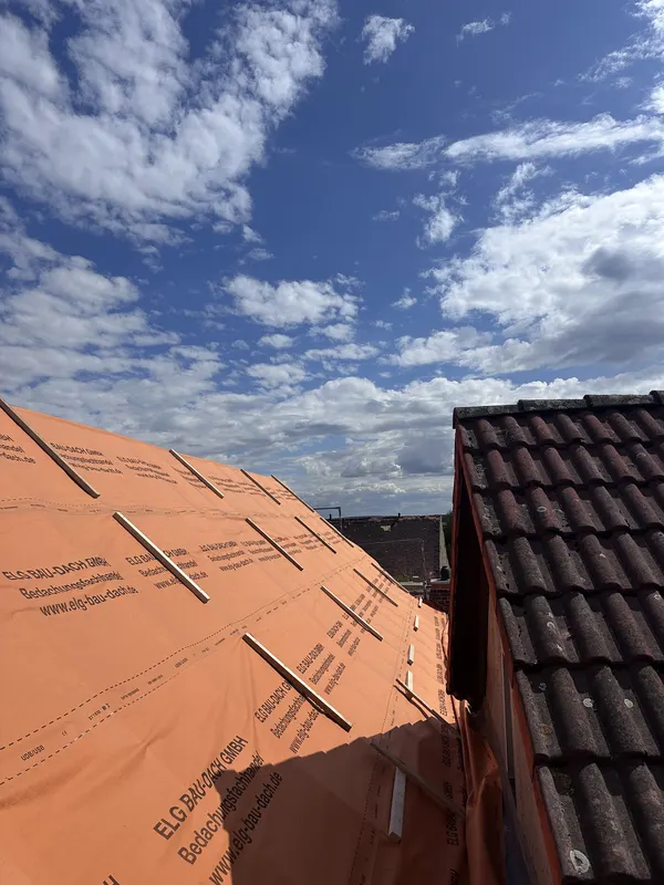 BV Loßwig – Foto 5